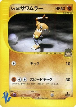 Pokémon-Karte Bruno's Hitmonlee 082/000