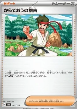 Pokémon-Karte Black Belt's Training (147/175) 147/000