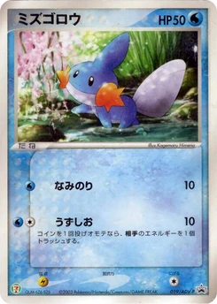 Pokémon-Karte Mudkip 019/000