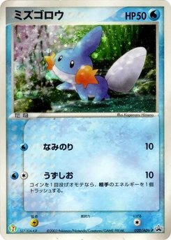 Pokémon-Karte Mudkip 020/000