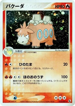 Pokémon-Karte Camerupt 013/000