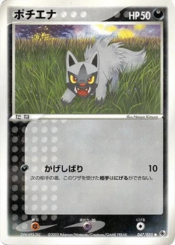 Pokémon-Karte Poochyena 047/000