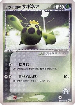 Pokémon-Karte Team Aqua's Cacnea 011/000