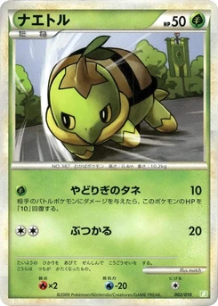 Pokémon-Karte Turtwig 002/000