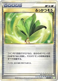 Pokémon-Karte Life Herb 008/000