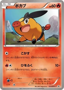 Pokémon-Karte Tepig 019/000