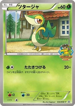 Pokémon-Karte Snivy 034/000