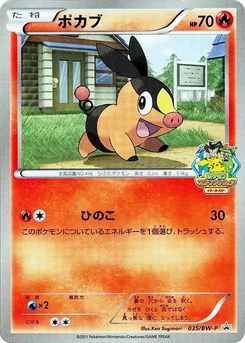 Pokémon-Karte Tepig 035/000