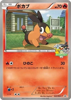 Pokémon-Karte Tepig 043/000