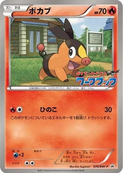 Pokémon-Karte Tepig 076/000