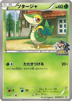Pokémon-Karte Snivy 078/000