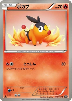 Pokémon-Karte Tepig 008/000