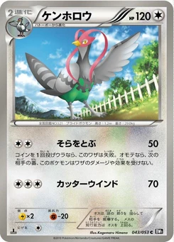 Pokémon-Karte Unfezant 043/000