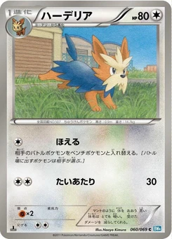 Pokémon-Karte Herdier 060/000