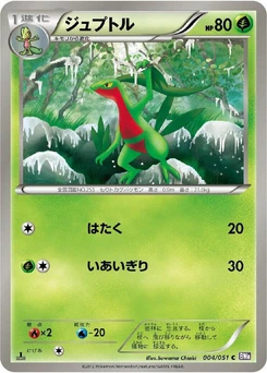 Pokémon-Karte Grovyle 004/000