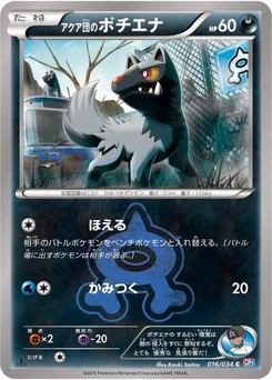 Pokémon-Karte Team Aqua's Poochyena 016/034