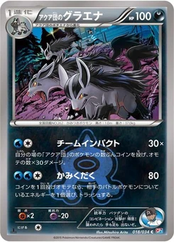 Pokémon-Karte Team Aqua's Mightyena 018/034