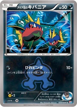 Pokémon-Karte Team Aqua's Carvanha 020/034