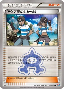 Pokémon-Karte Team Aqua Grunt 028/034