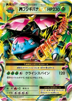 Pokémon-Karte Venusaur 002/000