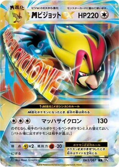 Pokémon-Karte Pidgeot 063/000