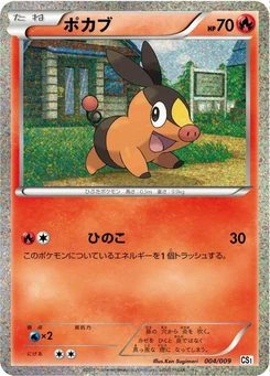 Pokémon-Karte Tepig 004/000