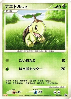 Pokémon-Karte Turtwig 005/000