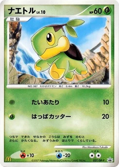 Pokémon-Karte Turtwig 027/000