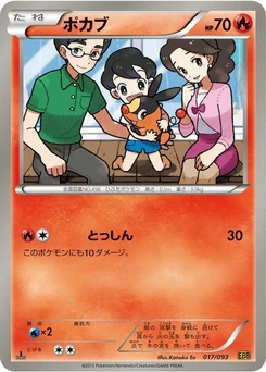 Pokémon-Karte Tepig 017/000