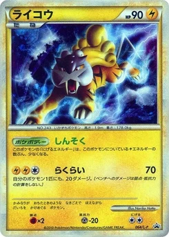 Pokémon-Karte Raikou 064/000