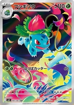 Pokémon-Karte Ivysaur 065/063