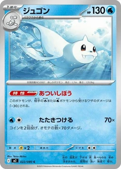 Pokémon-Karte Dewgong 022/080