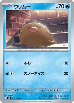 Pokémon-Karte Swinub 023/080