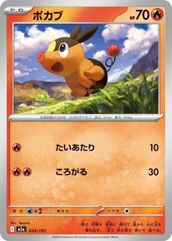 Pokémon-Karte Tepig 024/193