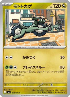Pokémon-Karte Cyclizar 053/076
