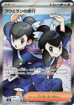 Pokémon-Karte Tate & Liza's Training 103/076