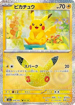 Pokémon-Karte Pikachu 019/000