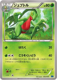 Pokémon-Karte Grovyle 002/000