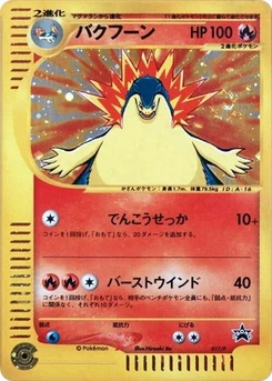 Pokémon-Karte Typhlosion 017/000