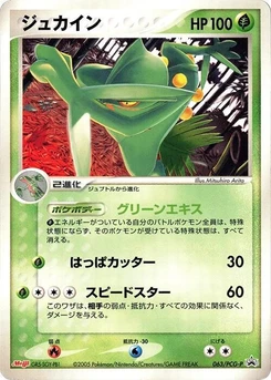 Pokémon-Karte Sceptile 063/000