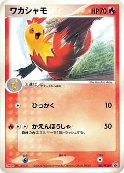 Pokémon-Karte Combusken 065/000