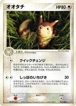 Pokémon-Karte Furret 055/000