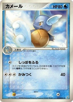 Pokémon-Karte Wartortle 019/000