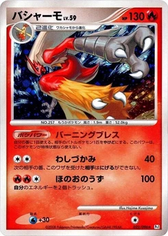 Pokémon-Karte Blaziken 022/000
