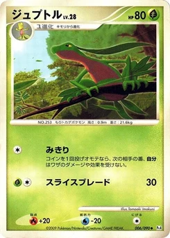 Pokémon-Karte Grovyle 006/000
