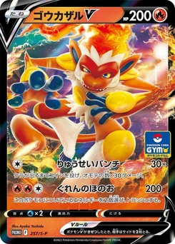 Pokémon-Karte Infernape V 257/000
