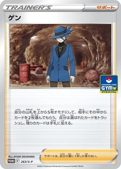 Pokémon-Karte Riley 263/000