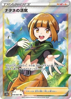 Pokémon-Karte Gardenia's Vigor 078/000