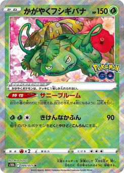 Pokémon-Karte Radiant Venusaur 004/000