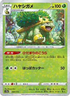 Pokémon-Karte Grotle 007/172